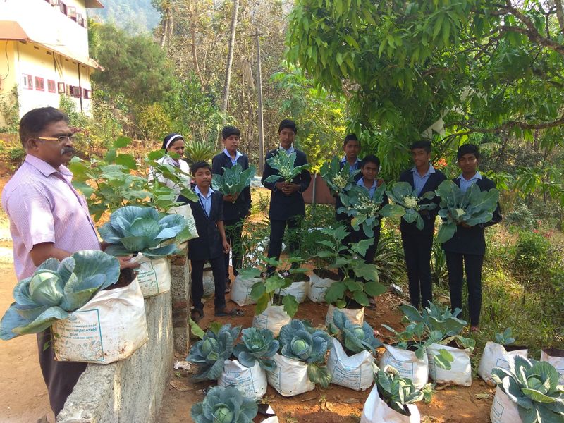 പ്രമാണം:29046-Veg-1 (copy).jpeg