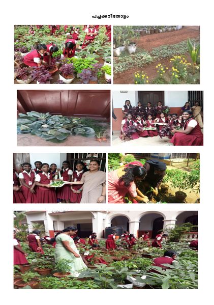 പ്രമാണം:33025 9.JPG