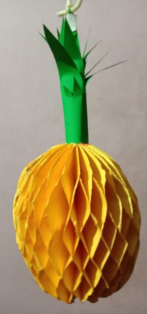 44050 22 12 i77.jpeg