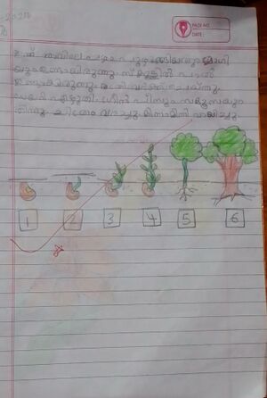 48237-MLP-KUJN-FATHIMA NABA.jpg