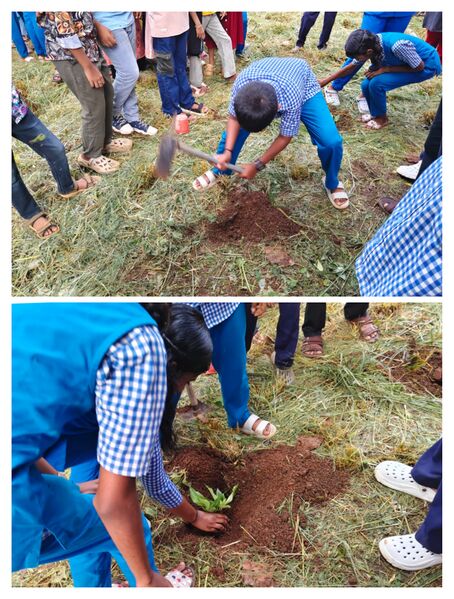 പ്രമാണം:BS PKD 21078 29.jpg