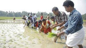 Farming in school plot.jpg