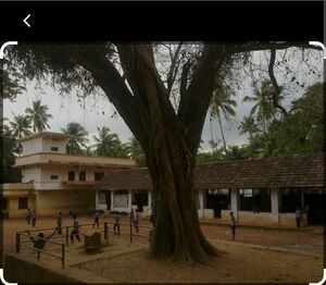 Image ups pullut..jpg