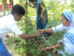 Jaivakrishi 15 35052 (3).JPG