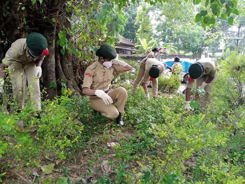 പ്രമാണം:Ncc 3.jpeg