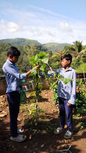 School agriculture.jpg