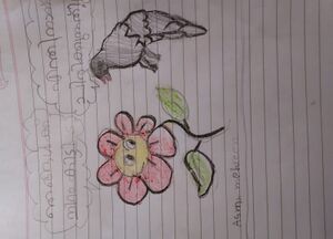 11434-KGD-KUNJU-ASMIN MEHRIN.jpg