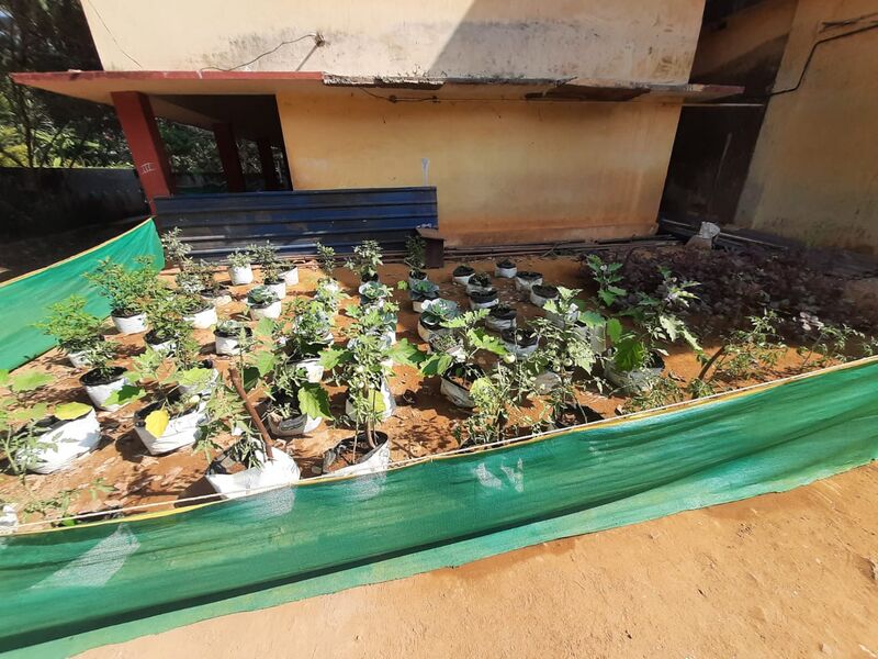 പ്രമാണം:11453 krushi6.jpeg