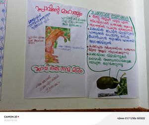 12060 KSD CHAKKA3.jpg