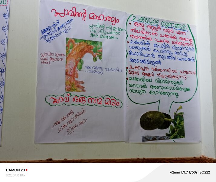 പ്രമാണം:12060 KSD CHAKKA3.jpg