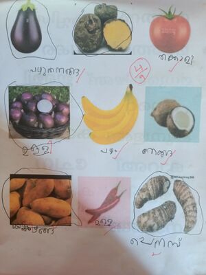 15448-WYD-KUNJ-CHRISTIYA THERES JOSE.jpg