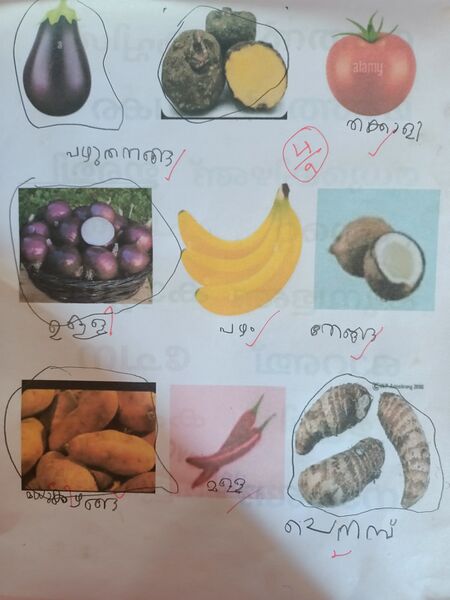 പ്രമാണം:15448-WYD-KUNJ-CHRISTIYA THERES JOSE.jpg