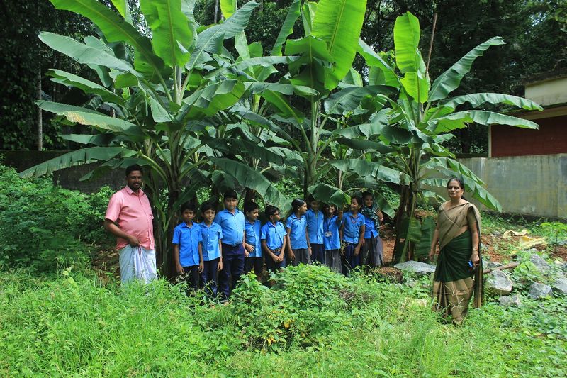 പ്രമാണം:20505 12.jpg