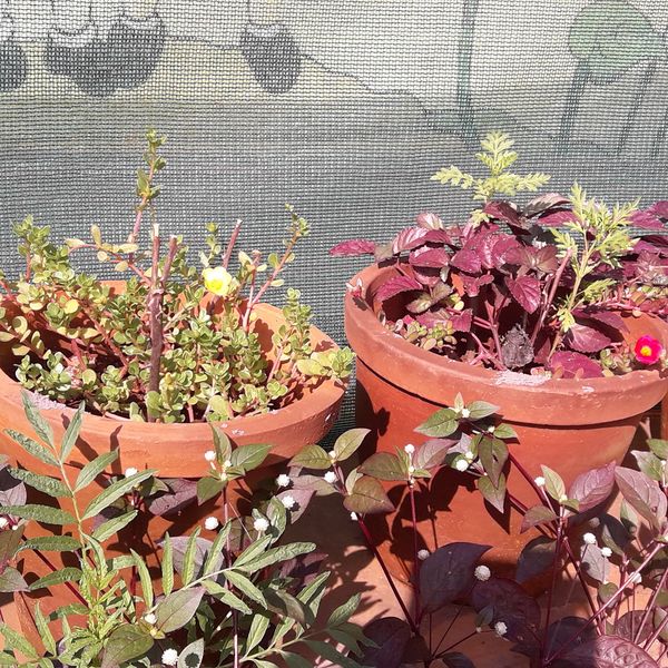 പ്രമാണം:21302-bio 17.jpg