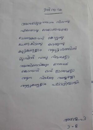 21706 nerkkazcha 8.jpeg