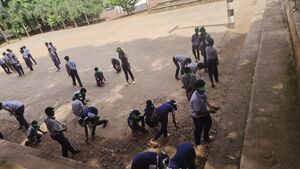 22274 greenarmy volunteers.jpeg