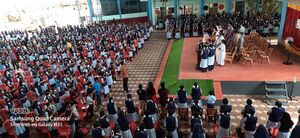 24071-mla prgrmm-2.jpeg