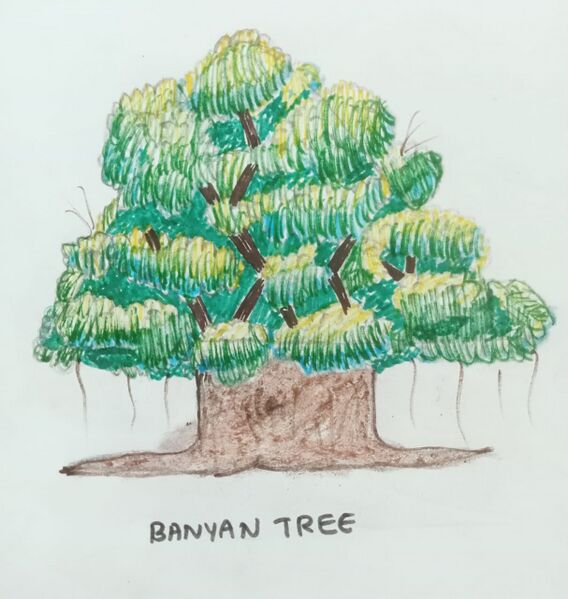 പ്രമാണം:31049-KTM-KUNJ-NAIFA NASRIN.jpg