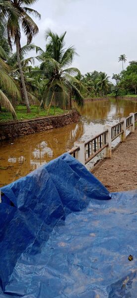 പ്രമാണം:33056 feb23 22 15.jpeg