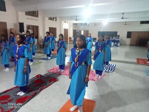 35052 yoga scoutguide 3.jpg