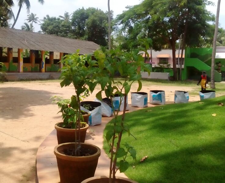 പ്രമാണം:43244 j4.jpg