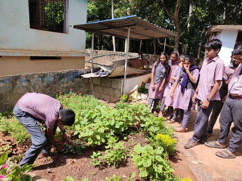 പ്രമാണം:44050 24 2 7 5.jpg