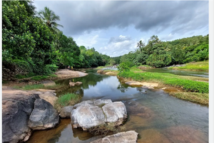 44324 karamana river.png