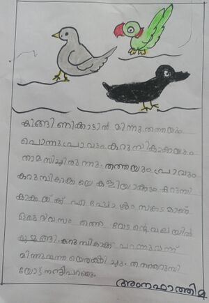 47209-kKD-KUNJ-Amna fathima.jpg