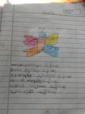 47658-KKD-KUNJ-NYMA.jpeg