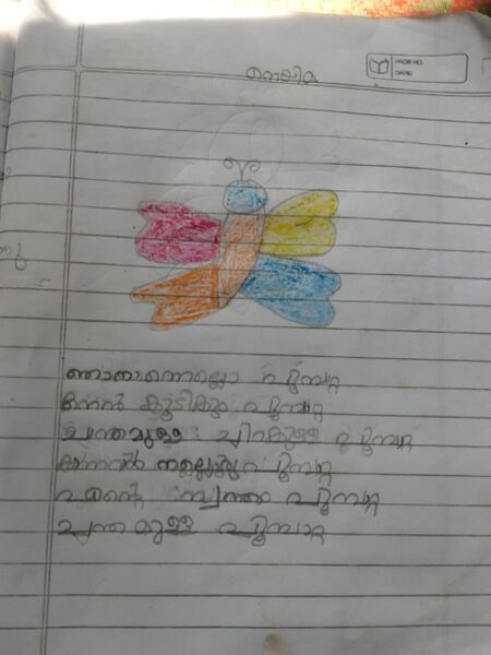 പ്രമാണം:47658-KKD-KUNJ-NYMA.jpeg