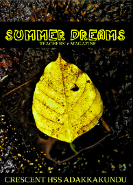 Summer Dreams ---- സി.എച്ച്.എച്ച്.എസ്. അടക്കാക്കുണ്ട്