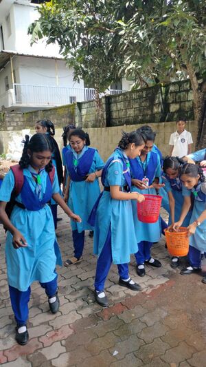 Guide plastic free.jpg