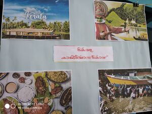 IMG 20191101 093810.resized.jpg