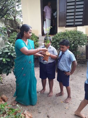 WORLD ENVIRONMENT DAY .jpg