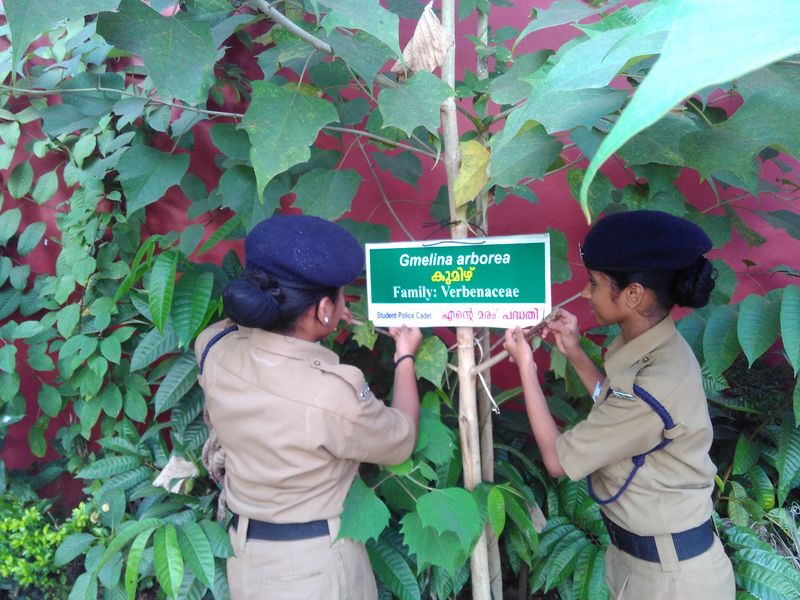 പ്രമാണം:എന്റെ മരം.jpeg