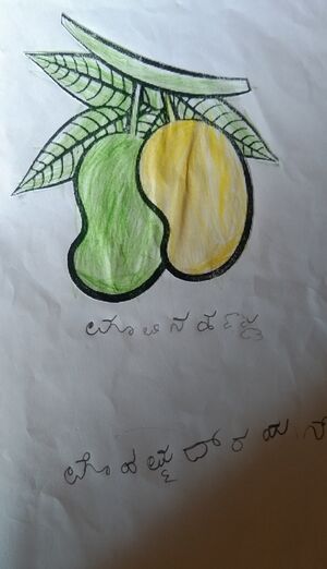 11226-KGD-KUNJ-MOHAMMED RAYAN.jpg