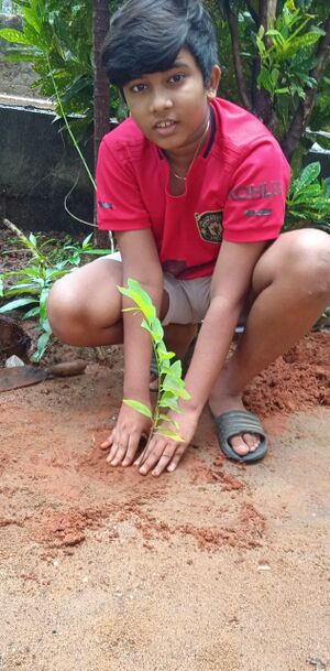 16256 paristhithi dinam4.jpg