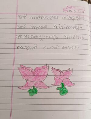 18728-MLP-KUNJ-AYISA NIDA.jpeg