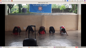 24054 yoga3.resized.png