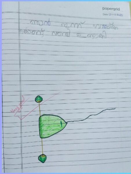 പ്രമാണം:36457 ALP Kunj Ayush.jpeg