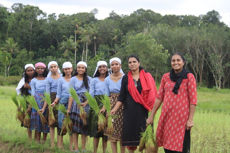 പ്രമാണം:38102- P1.JPG