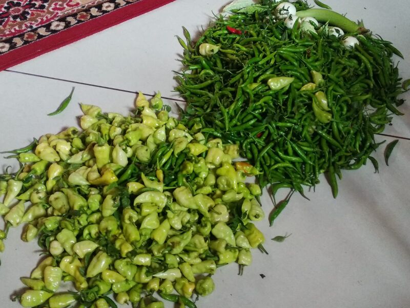 പ്രമാണം:43078 -eco4.jpg