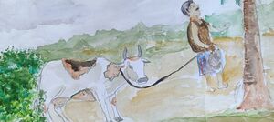 47017 SAVIO 7 C 40 .jpg