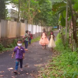 BS21 ALP 36236 2.jpg