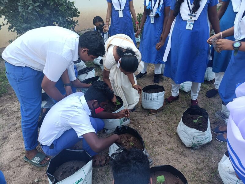 പ്രമാണം:Chingam1 35052 22 (6).jpeg