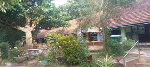 IMG 20231108 075426.jpg