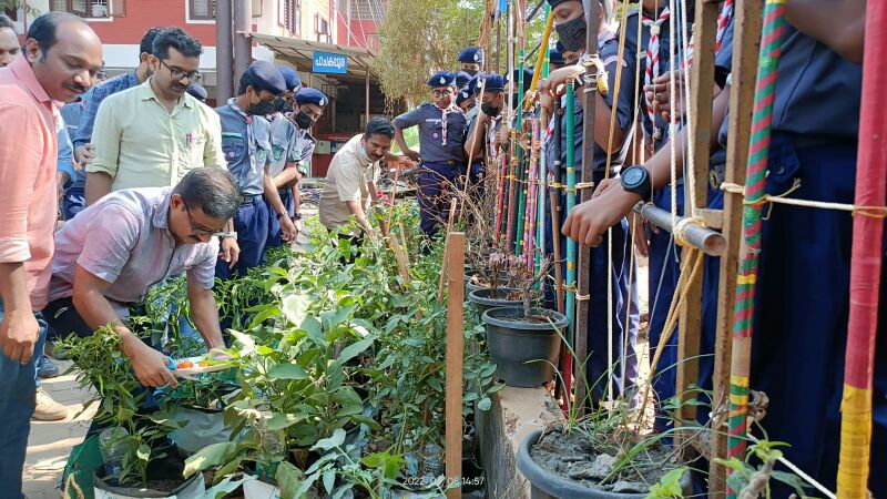 പ്രമാണം:14031 scout3.jpeg