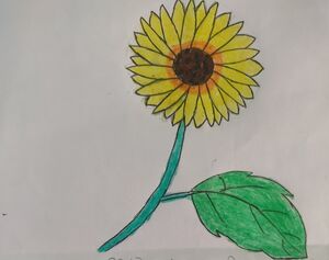 15380-WYD-KUNJ-ilaan ali.jpg