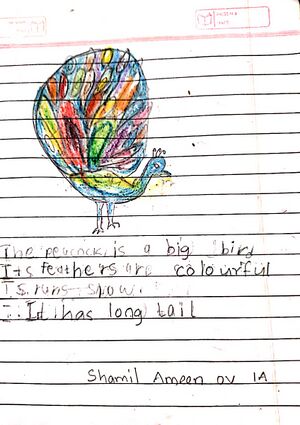 17542-KKD-KUNJ-SHAMIL AMEEN.jpg