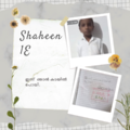 Shaheen